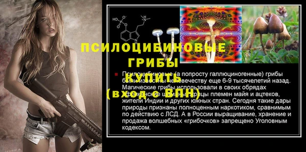 гашик Волосово