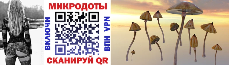 Галлюциногенные грибы Psilocybe  Купить где  Темрюк 